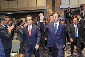Vietnam values business, diplomatic ties with Japan 