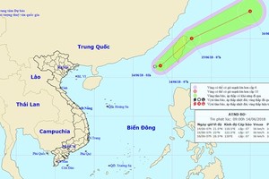 Quang Ninh to Quang Tri provinces actively cope with tropical low-pressure  ​