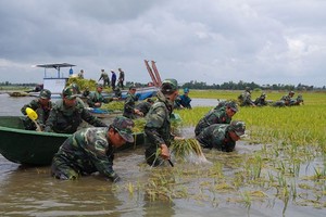 Rains hit south, Mekong region’s lowland areas experience flooding