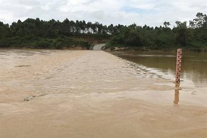 many fectares of rice is flooded by heavy rains in Nghe An province