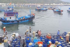 Conference to seek solutions for establishing 5 fisheries centers opened