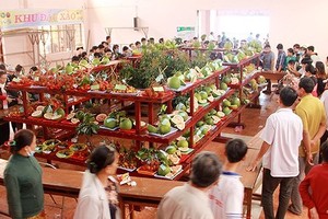 Ben Tre focuses on developing cooperatives  ​