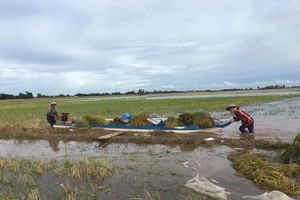 Thanh Hoa province damaged seriously due to heavy rains, floods  ​