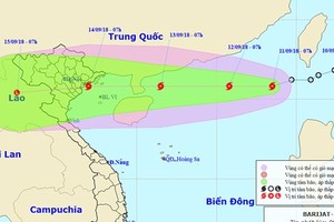 Tropical low-pressure strengthens into 5th typhoon