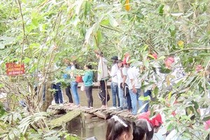 Students visit Xeo Quyt in Dong Thap province Photo: SGGP