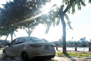 Can Tho province sees high tides