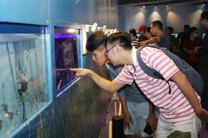 Visitors browse ornamental fish at a fair held in HCM City. (Photo: VNA)