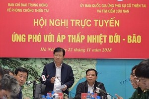 Deputy PM Dung chairs online meeting to prepare for typhoon