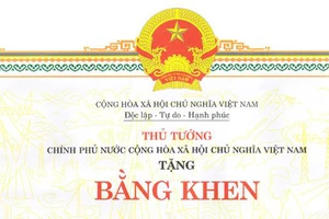 Tặng bằng khen người dũng cảm cứu người