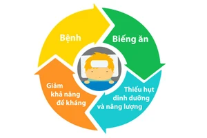 Vòng luẩn quẩn của sự mất cân bằng dinh dưỡng