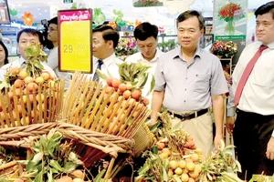 Những chùm vải căng tròn, mọng nước được bày bán tại các siêu thị ở TPHCM. Ảnh: QUÝ NGỌC