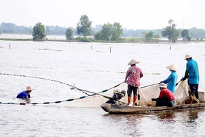 Tây Ninh bố trí bí thư, chủ tịch UBND huyện không phải là người địa phương