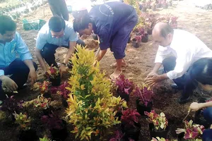 Xử lý ô nhiễm môi trường nông thôn