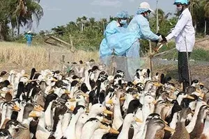 Dịch bệnh bùng phát mới cấp tập đi… chống