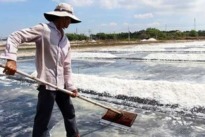 Hoang phế dự án kho dự trữ muối 