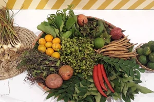 Khai mạc Hội chợ hàng Việt Nam chất lượng cao