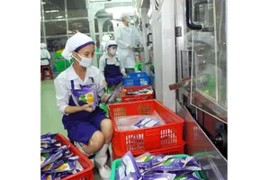 Chế biến mít xuất khẩu tại một đơn vị. Ảnh: THÀNH TRÍ