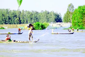 Lũ về góp phần tạo sinh kế cho nông dân ĐBSCL