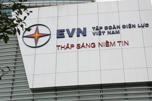 2 nhà đầu tư cá nhân mua 86,6% cổ phần chào bán tại EVF