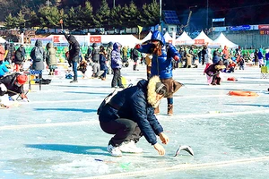 Lễ hội câu cá trên băng Hwacheon Sancheoneo