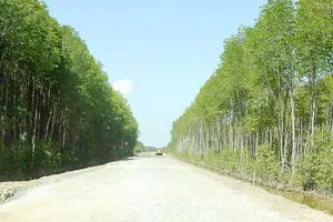 Hơn 1.500 tỷ đồng xây tuyến tránh TP Buôn Ma Thuột