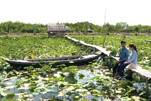 Phim truyền hình: Lạc lối