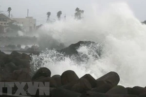 Bão Maysak tấn công Đông Bắc Á