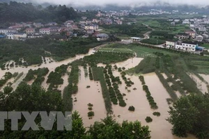 Mưa lũ nghiêm trọng tại Đông Bắc Á