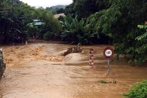 Ảnh minh họa: TTXVN