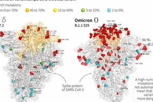 Hình ảnh thể hiện các đột biến của biến thể Omicron (phải) và Delta (trái) do các nhà khoa học thuộc Bệnh viện Bambino Gesu ở Rome (Italy) công bố