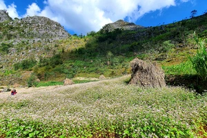 Tôi đi du lịch vùng xanh