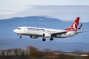 Máy bay của hãng hàng không Turkish Airlines. Ảnh: TTXVN