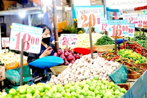 Giá lương thực tăng cao tác động tiêu cực đến cuộc sống người dân Mỹ Latinh