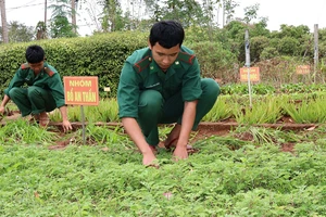 Hàng ngày, cán bộ, chiến sĩ tại Đồn Biên phòng IaO dành thời gian chăm sóc vườn thuốc