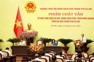 Hà Nội 100% xã đạt nông thôn mới nhưng sản xuất nông nghiệp vẫn nhỏ lẻ