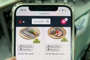 Hơn 15.000 sản phẩm Việt đã lên hệ thống bán hàng của Co.op Online