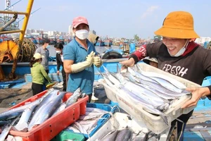 Tháng 10, EC sang Việt Nam kiểm tra IUU