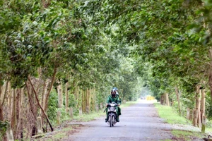 Trên đường tuần tra biên giới (thuộc địa bàn huyện Vĩnh Hưng, tỉnh Long An). Ảnh: DŨNG PHƯƠNG