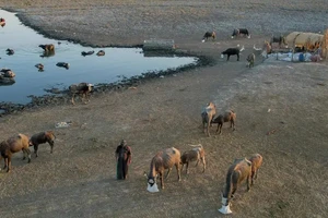 Hạn hán và xung đột ở Iraq, quốc gia nằm trong FCS, càng làm gia tăng tình trạng nghèo đói