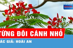 Từng đôi cánh nhỏ