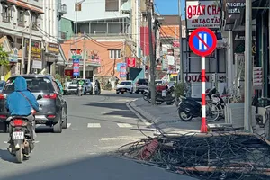 Lâm Đồng: Dãy cột điện bị “bỏ quên” đang được di dời