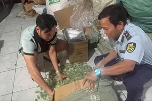 Phát hiện hơn 1 tấn kẹo dẻo không rõ xuất xứ