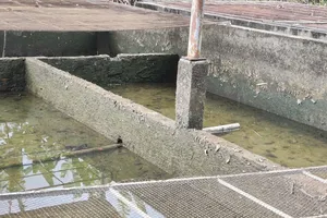 Quảng Ngãi: Khoảng 4.000 người dân xã Đăk Rve mong có nước sạch