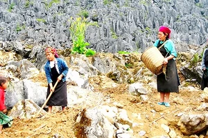 Chế tài nghiêm hành vi mua bán người