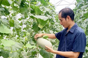 Hội Sản phẩm nông nghiệp sạch TPHCM ra mắt
