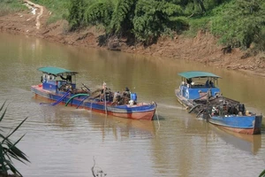 Cho phép khai thác cát trở lại trên sông Đồng Nai