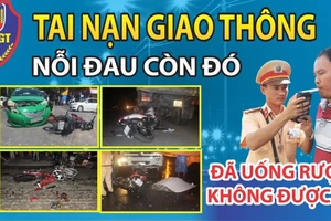 Nhanh chóng đưa các luật mới vào cuộc sống