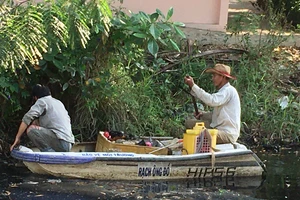 Nhiệt thành bảo vệ môi trường