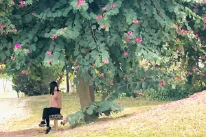 Lối cỏ