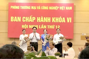 Ông Lê Viết Hải tham gia Ban Chấp hành VCCI khóa VI